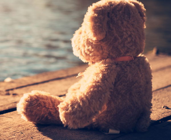 brown teddy bear sitting on a wooden dock at sunrise