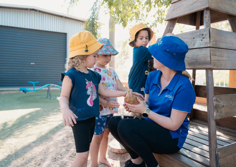 An educator holds a chicken whilst the children pet it