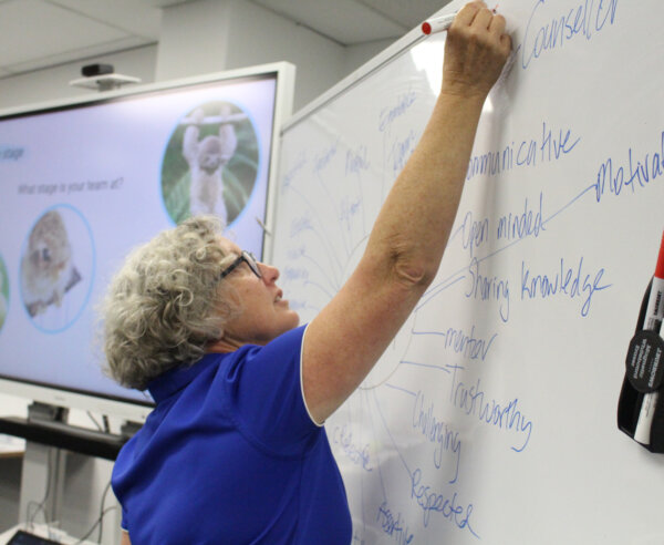 teacher drawing mind map on whiteboard
