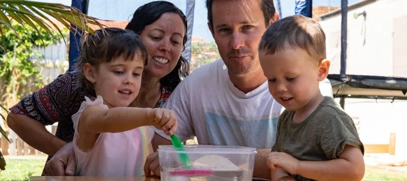 Home Interaction Program for Parents and Youngsters (HIPPY)