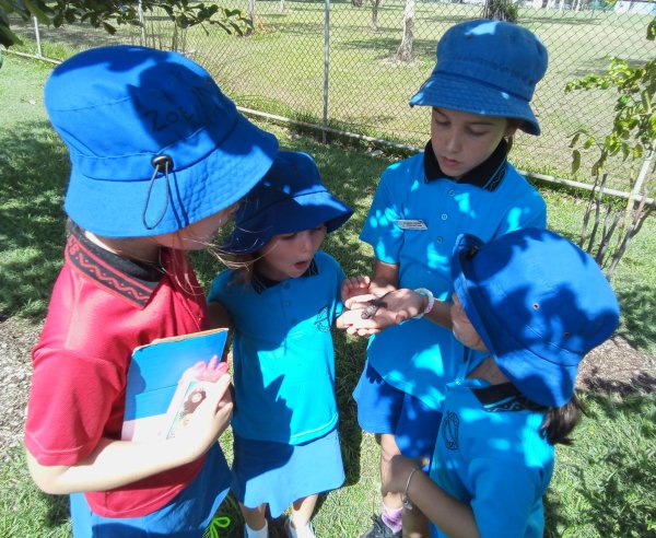 Children outside playing with a lizard