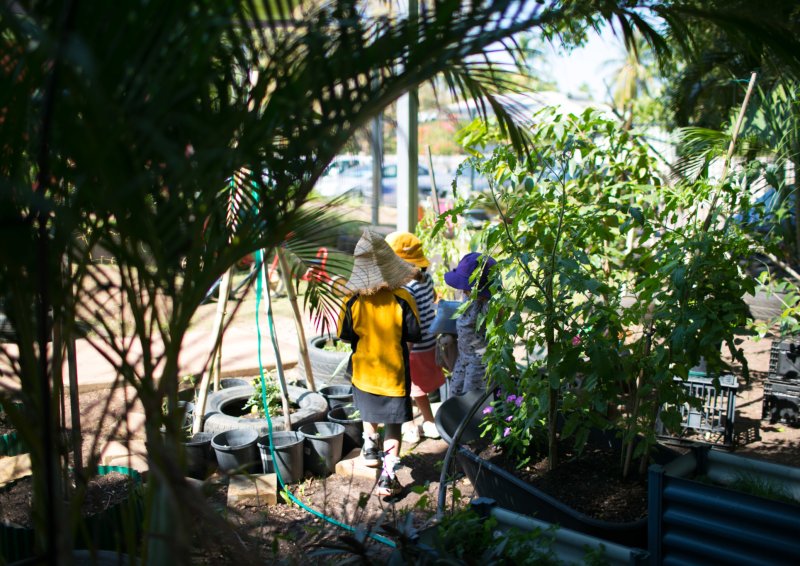 Children playing in nature