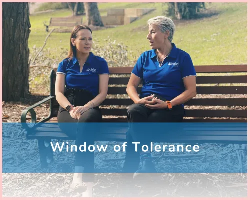 Window of Tolerance Image