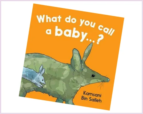 What do you call a baby Image