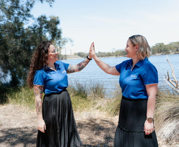 Video Vault Series Image